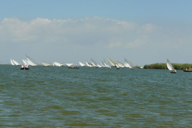 p1100658